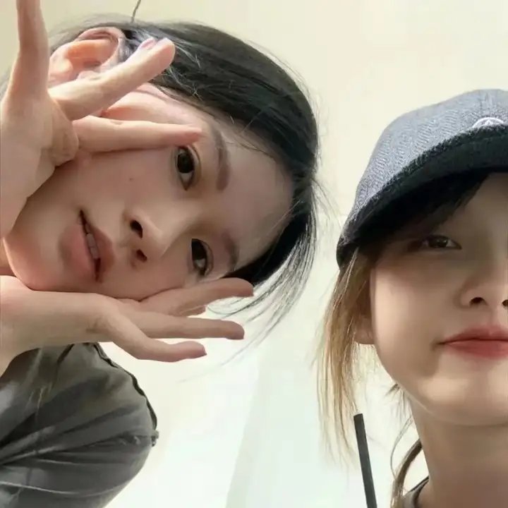 菊花香 在线观看