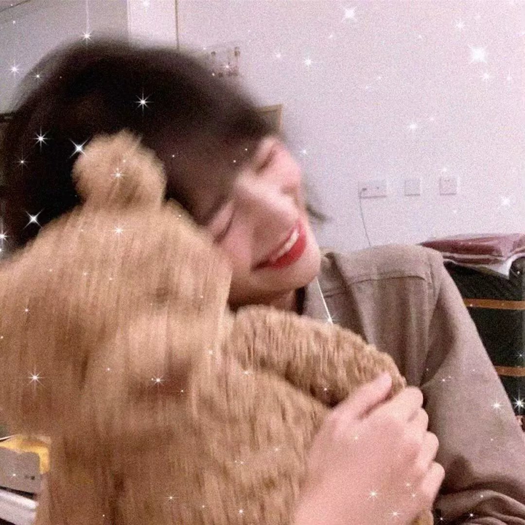 戴洛奇小镇第一季